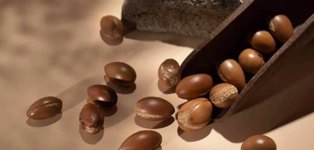 Argan nuts